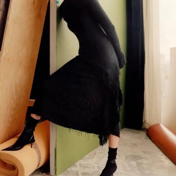 Zara Studio KNIT SHIMMERY SPARKLY DRESS LIMITED EDITION Black Silver Fringe XS - Picture 12 of 12